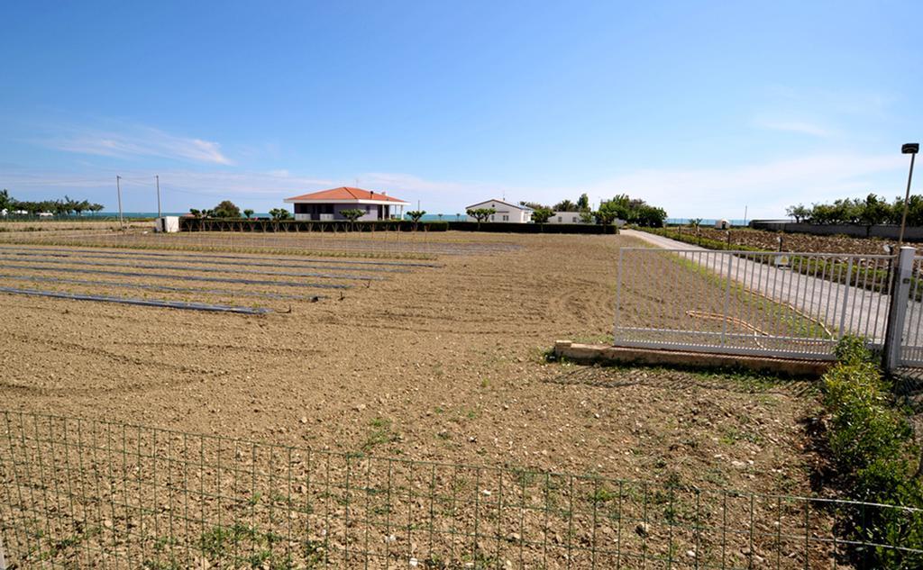 Agriturismo Frontemare ジュリアノーヴァ エクステリア 写真